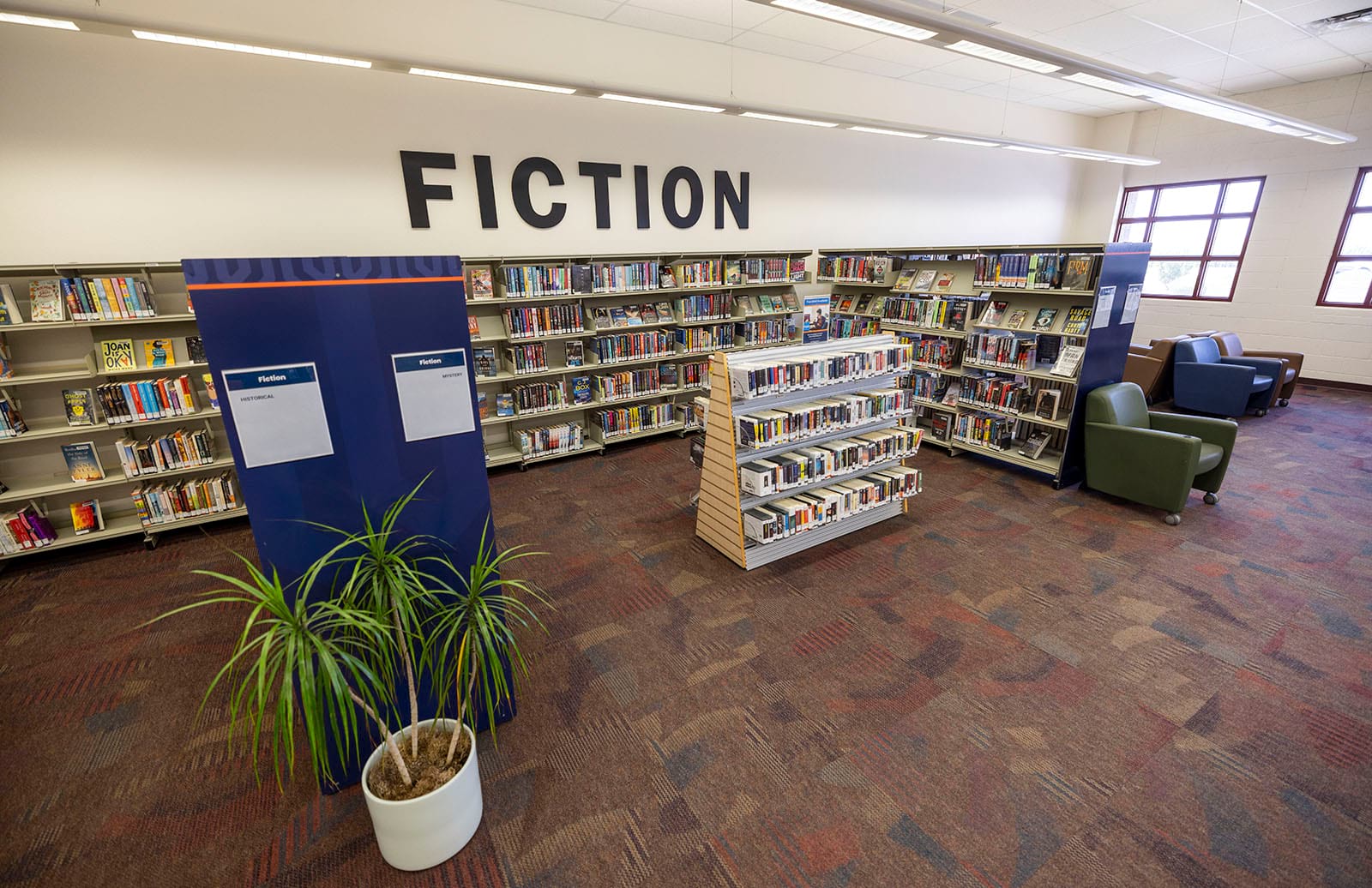 Photo of the fiction section of the Perry Library